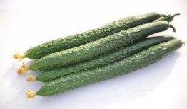 太阳wall吃瓜爆料最新,娱乐圈最新瓜料大揭秘！